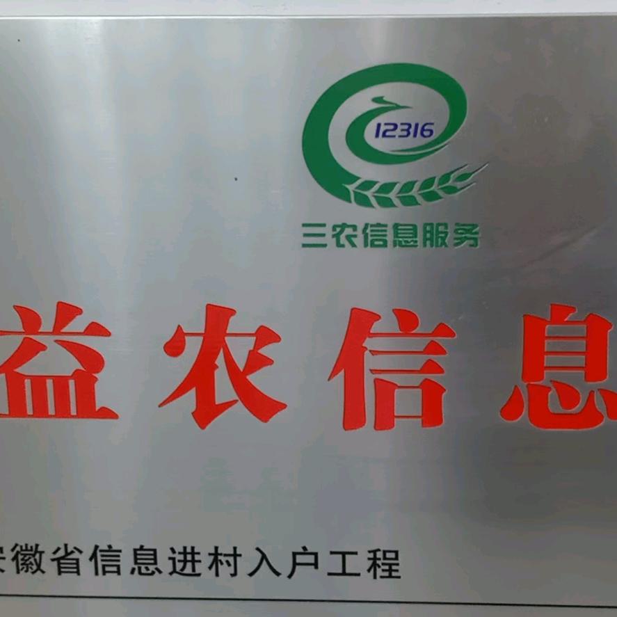 艾亭红薯粉面粉丝