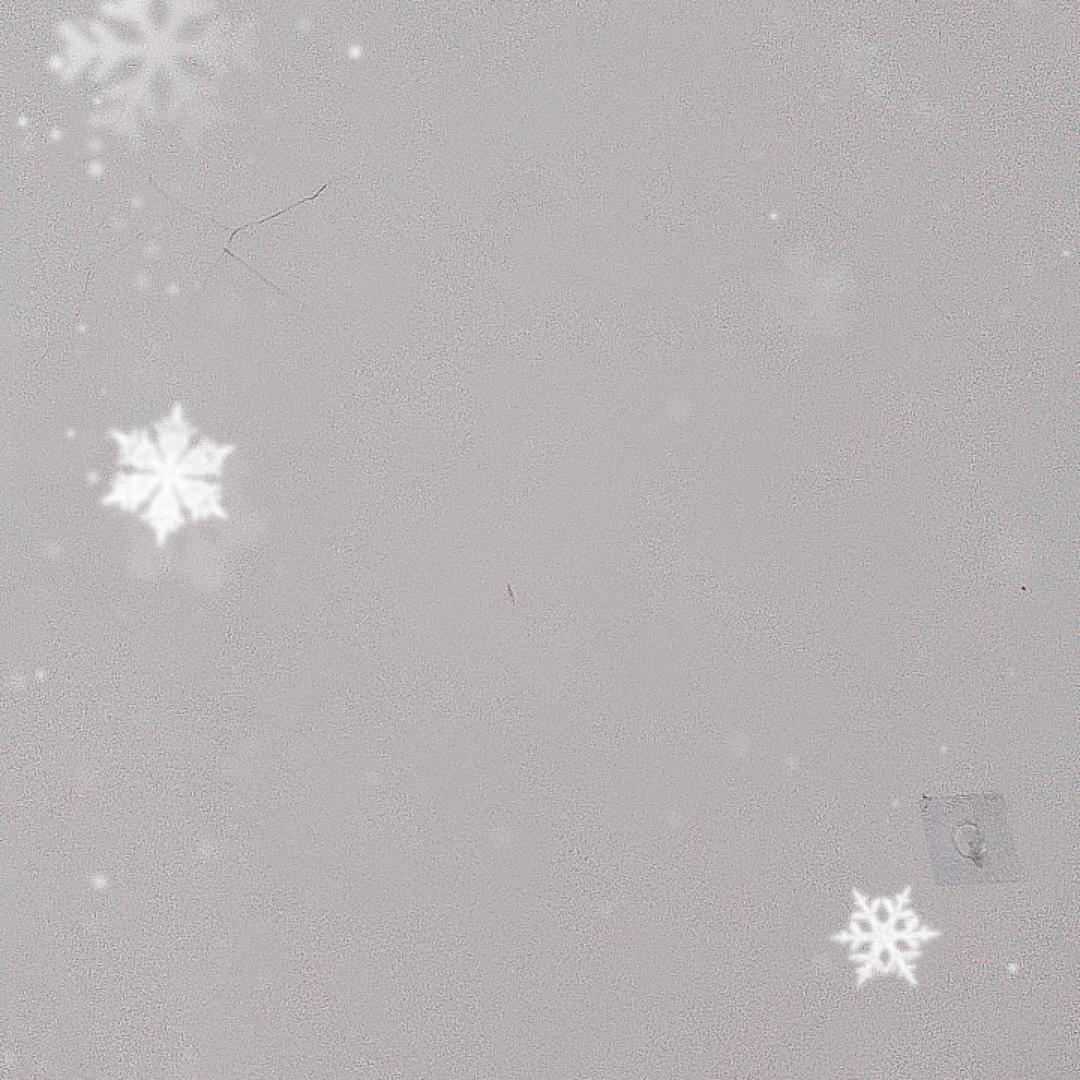 风平浪静