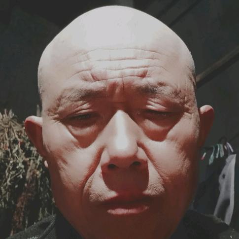 老罗