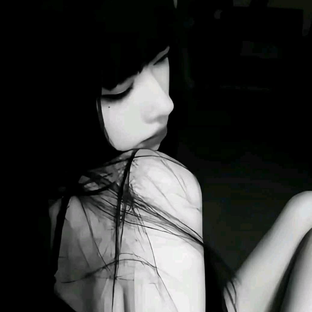 _小飞鱼