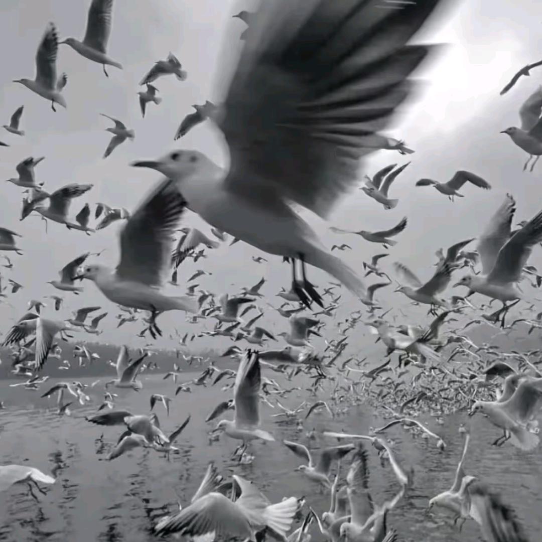 宋宋服装优选2店