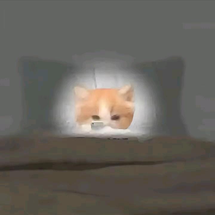 李佳奥