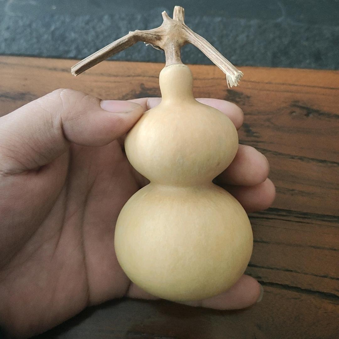 王海洋