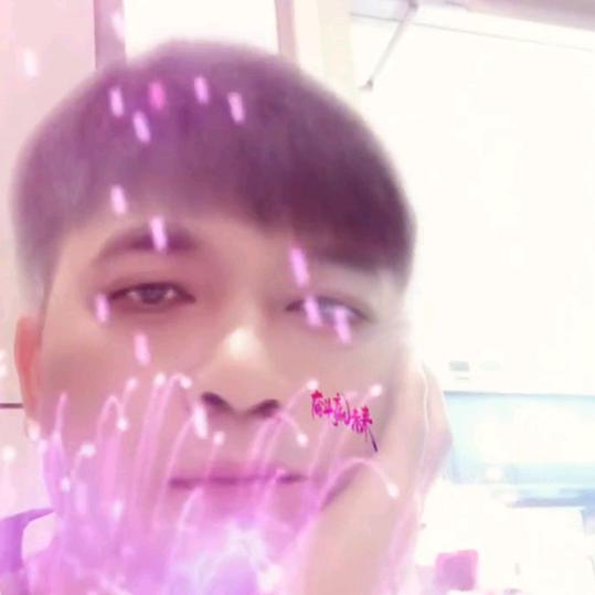 边城明珠381