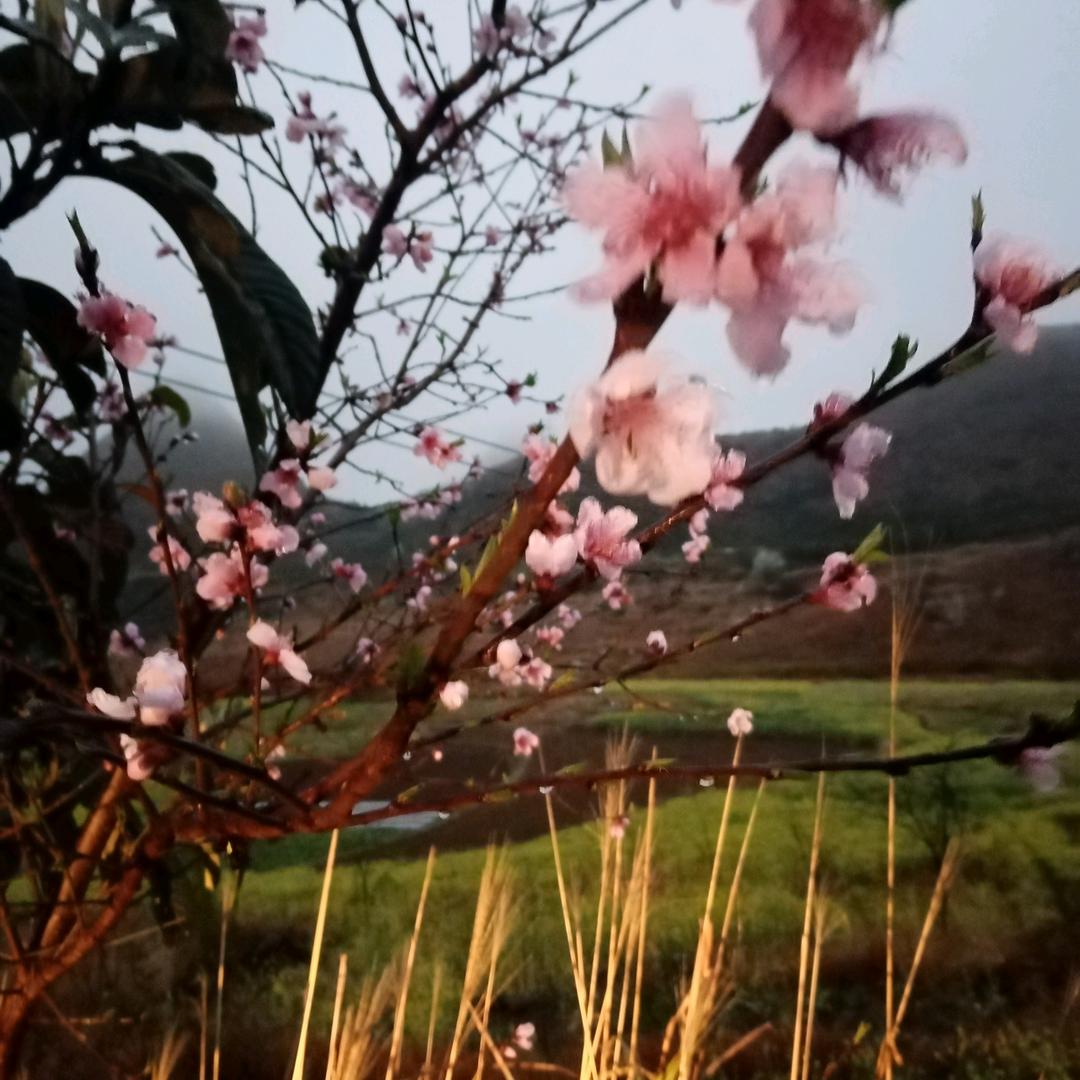 明天会更好🎊🎉