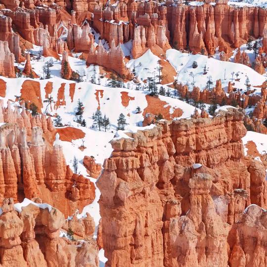 我就想不懂自己想什么