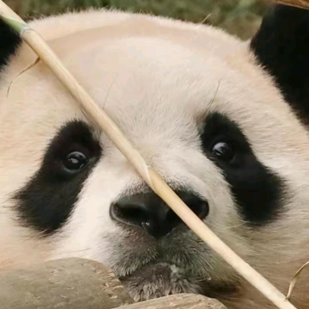 盡尒