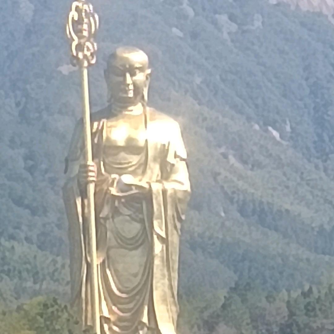 大飞哥