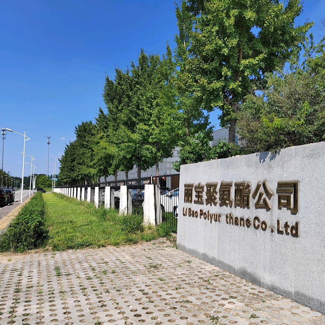 廊坊市丽宝聚氨酯