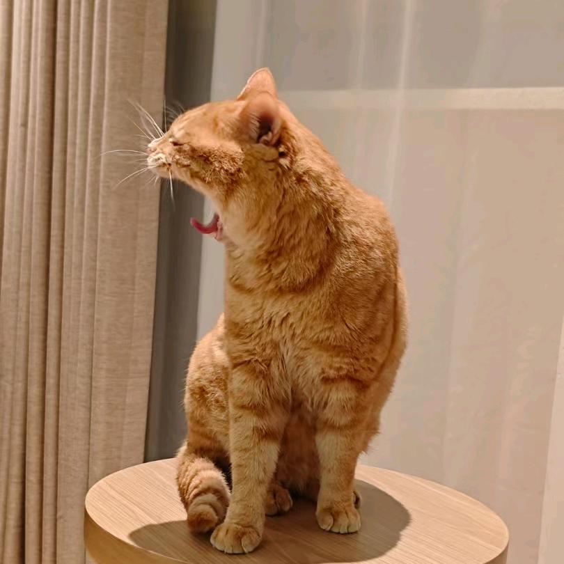@劉劉