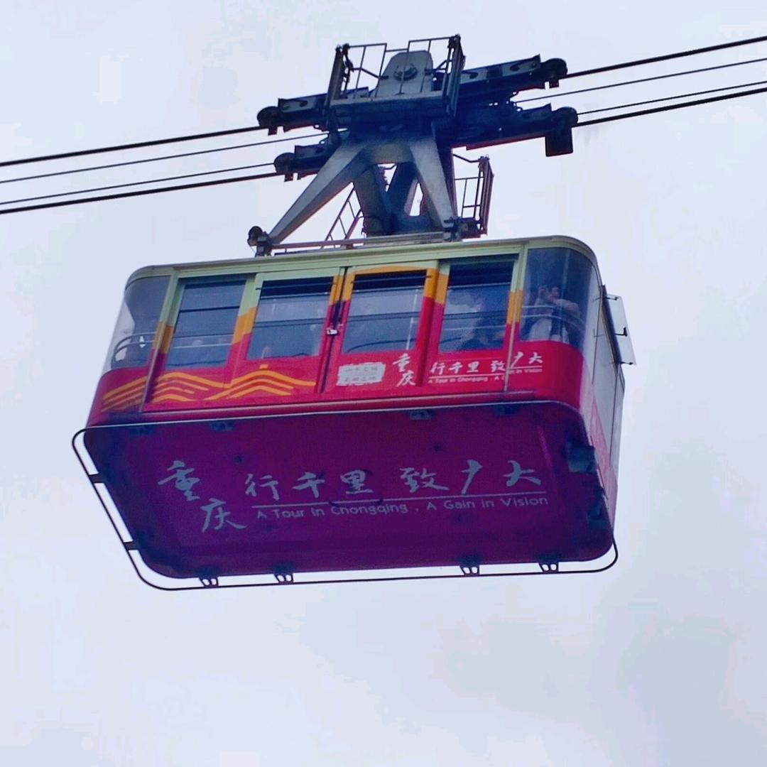 苗苗