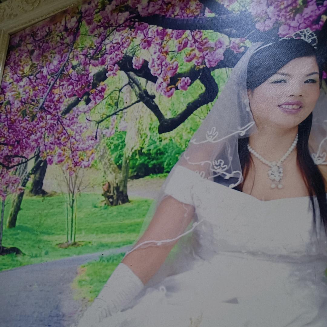 淡淡人生静静过