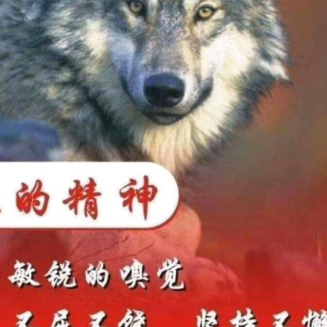 西伯利亚🐺