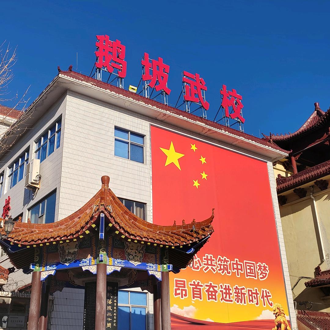 嵩山少林鹅坡武校（新生咨询报名）