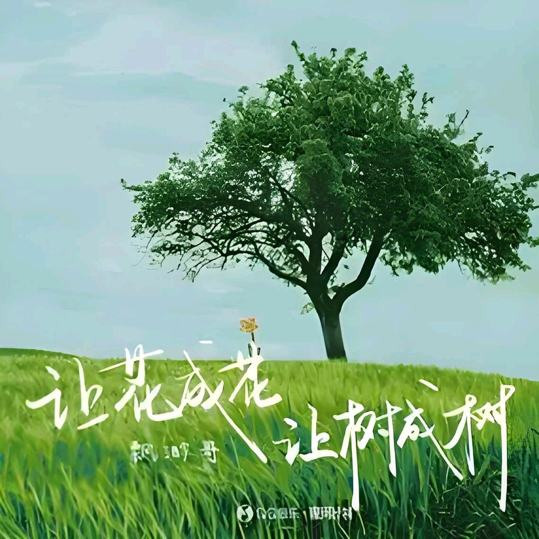 追梦人♬