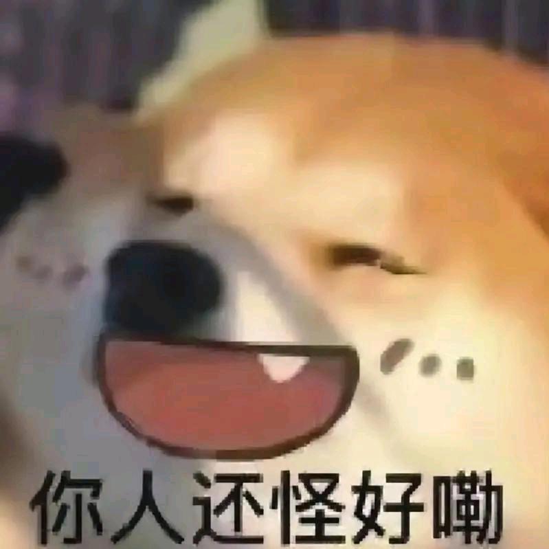 养过小聋女（三角洲行动）