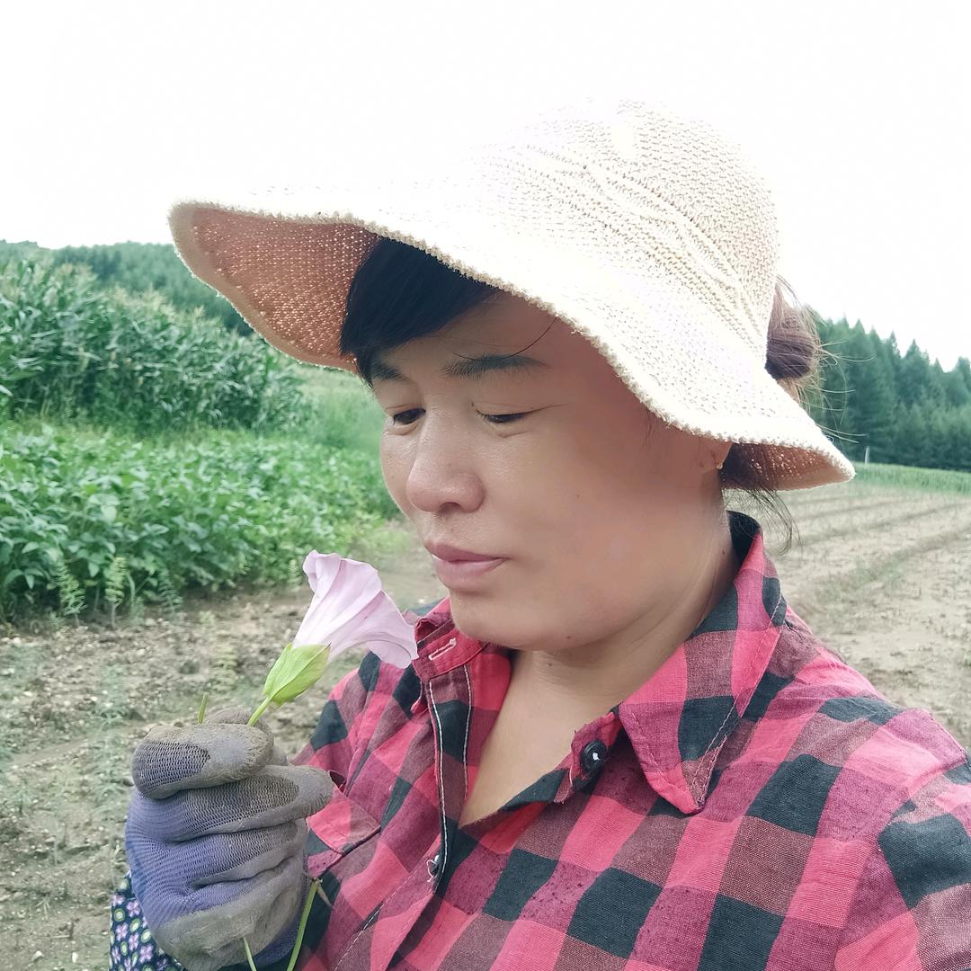 🌺梦中缘2999