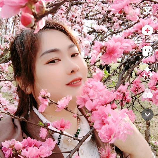 🌸梦中🌸想你🌹🌹