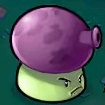 🟣 🟣 🟣🟣🟣🟣🟣🟣🟣