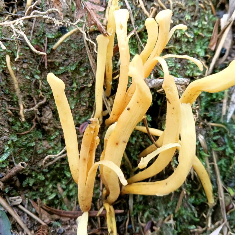 ༒࿈心随漂动༙྇࿈༒