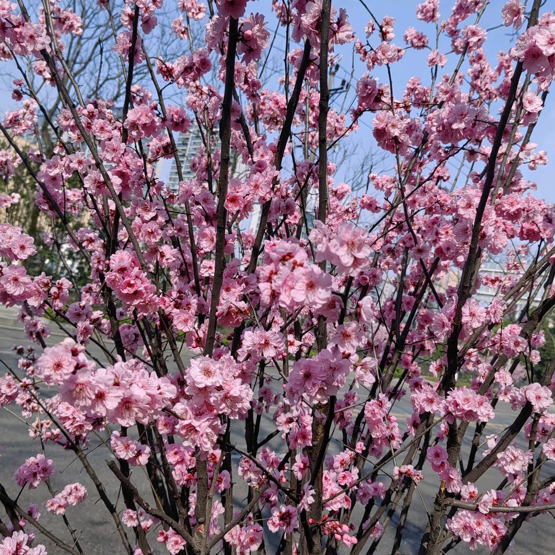 🐱🐱喵喵🐱🐱