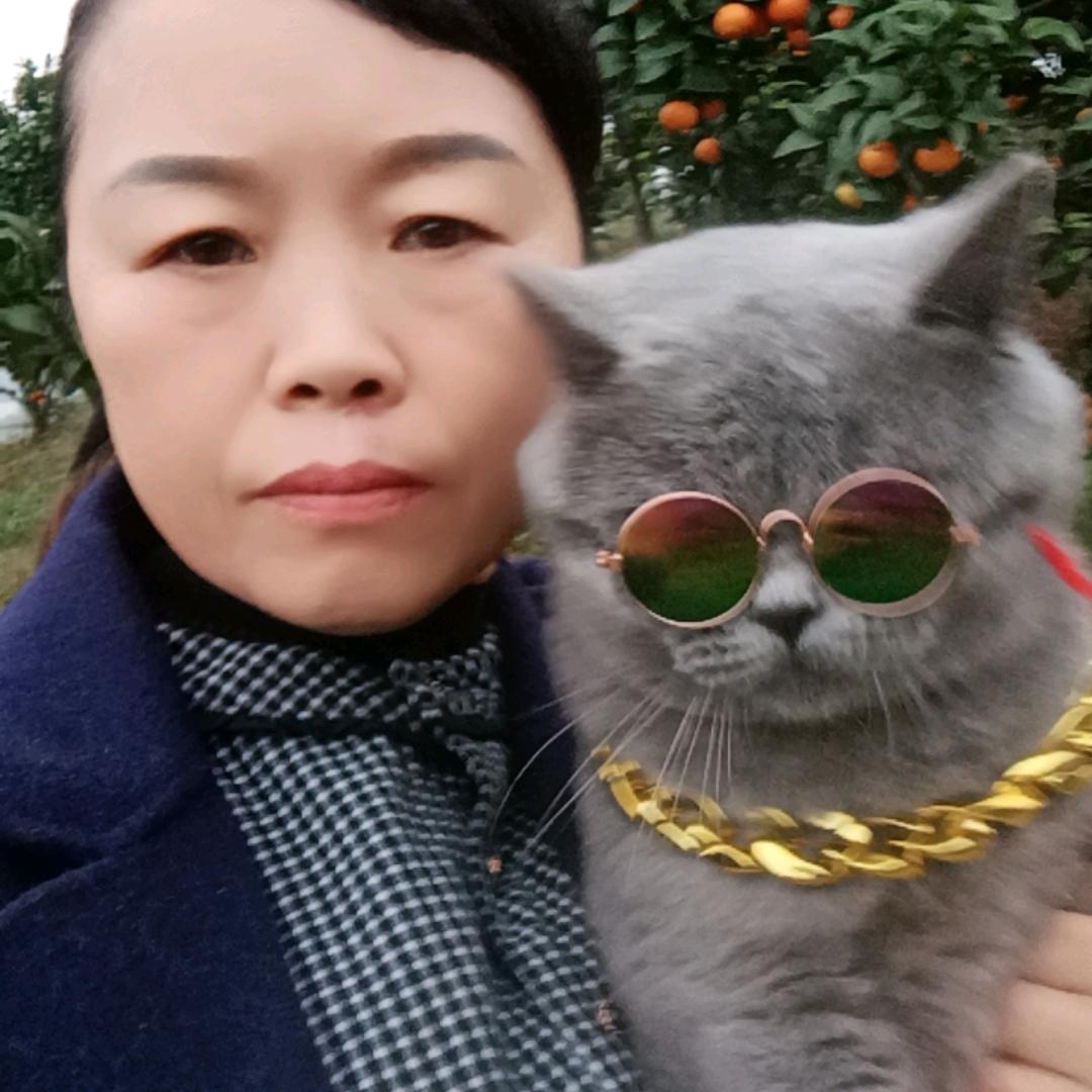 自由七四年正月的虎🐯