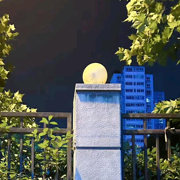 千与千寻（你瞒我瞒）