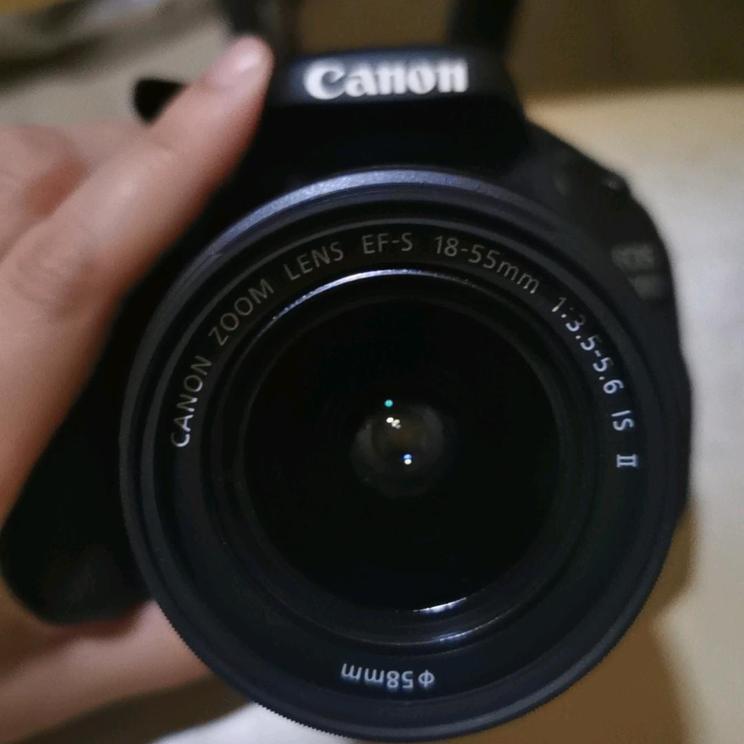 别叫！就遛遛～