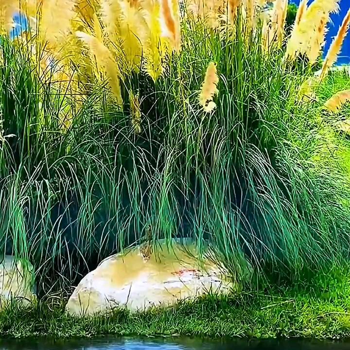 人生如梦😊😊