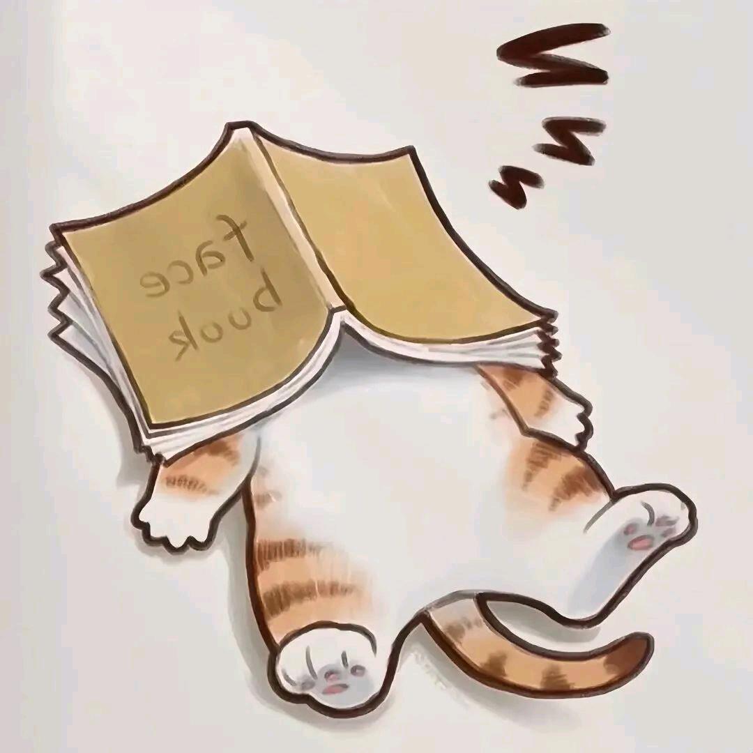.小陈.