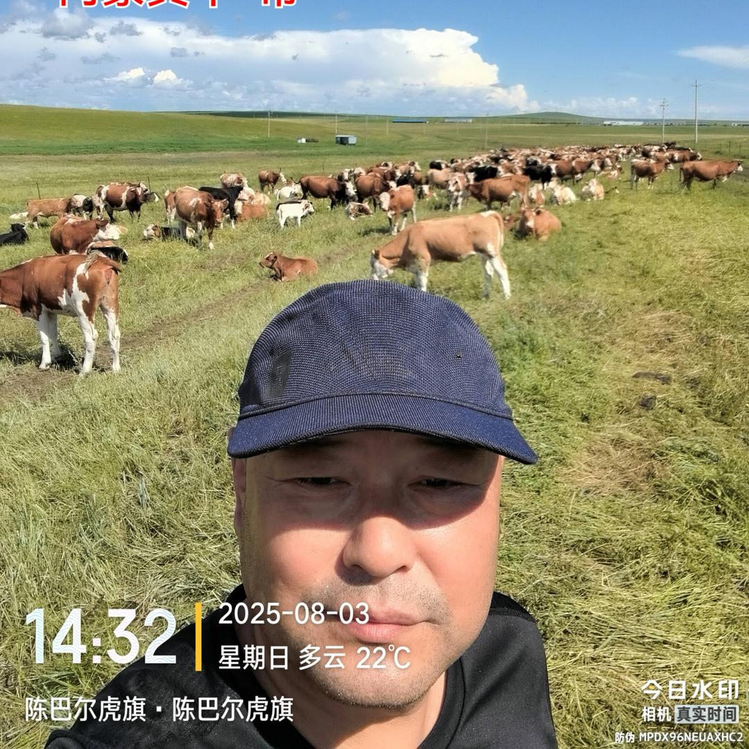 通辽双成买牛团队