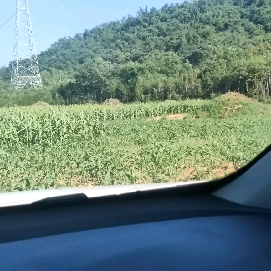 只为一生