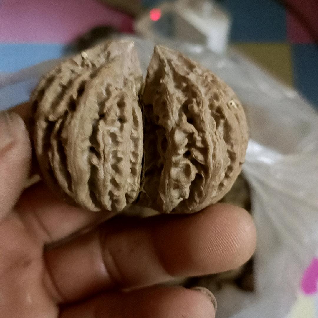 触动