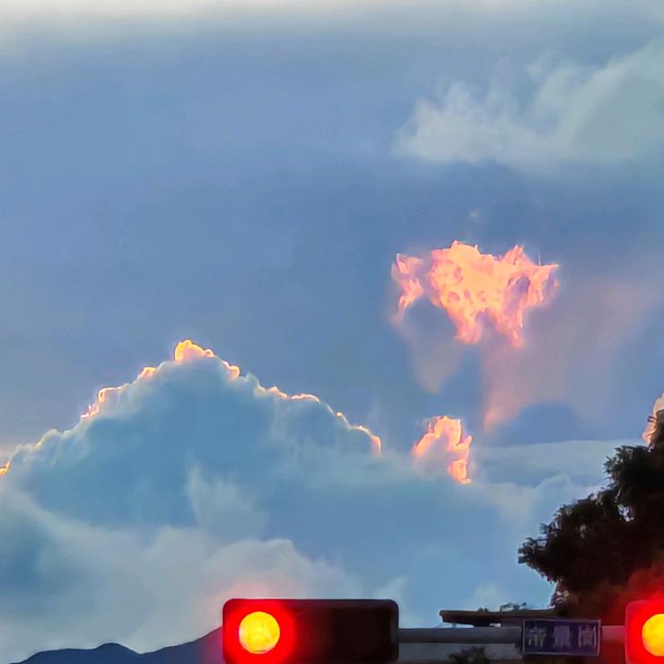 努力赚钱的小曹