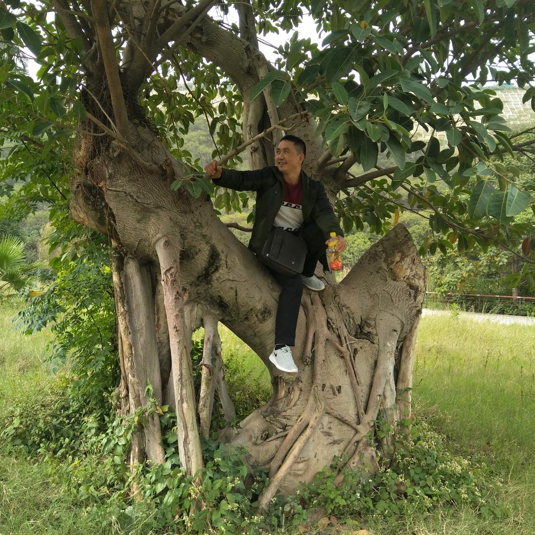 李三哥