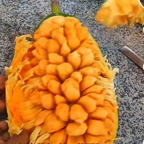 海南阿文大量收购批发菠萝蜜