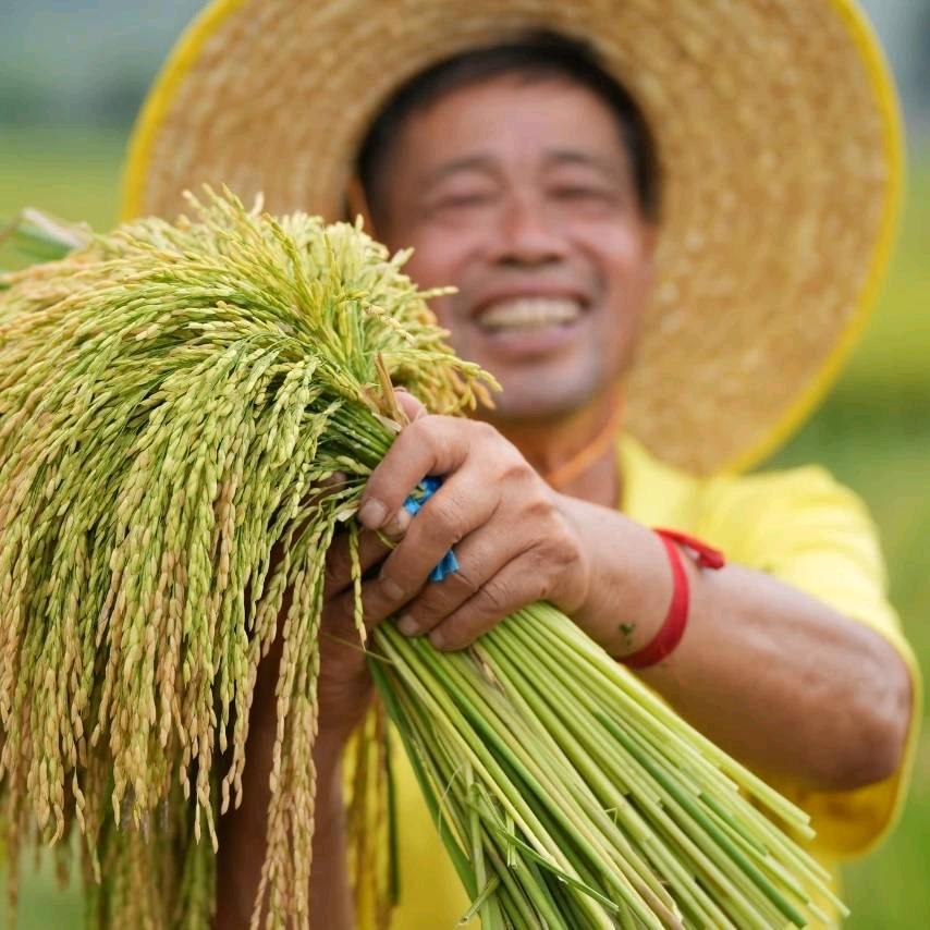 不白何一回