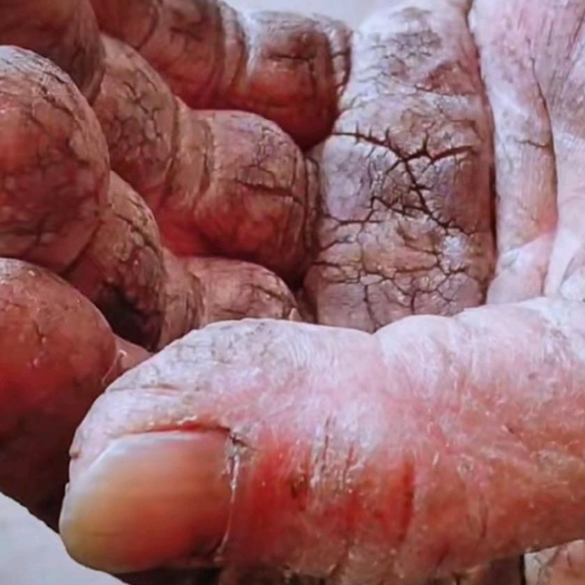 ๓2o2o独宠এº᭄