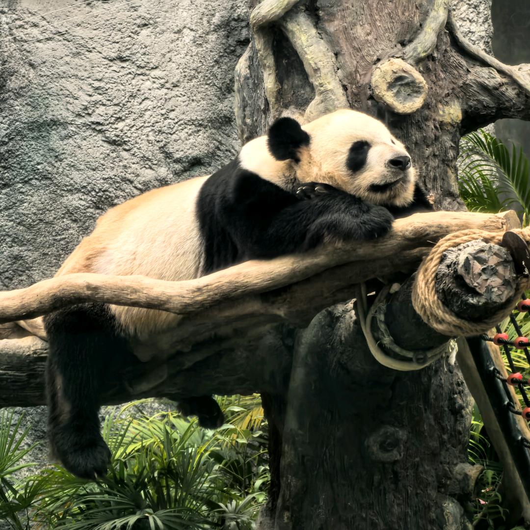 涛哥见过刘德华