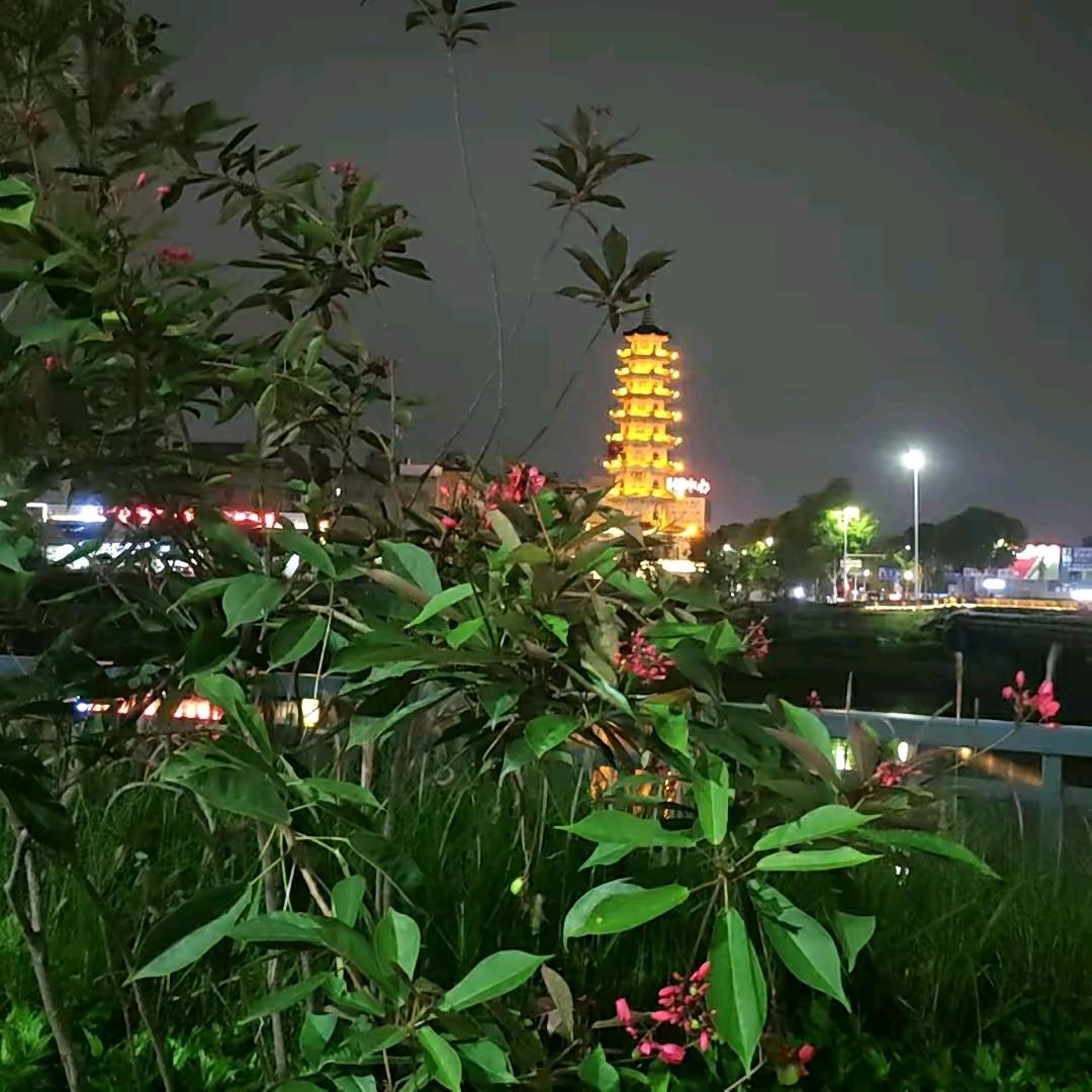 余生封心锁爱