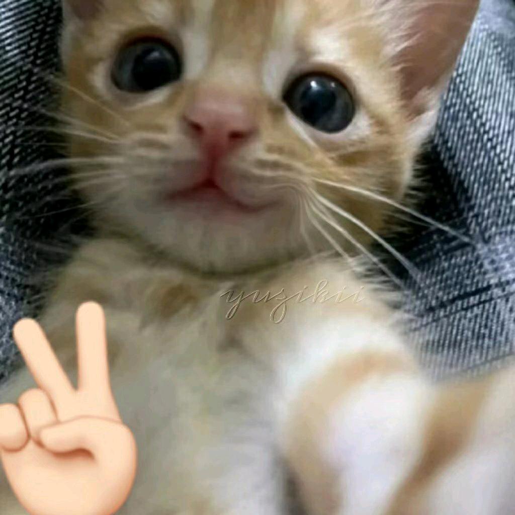 38岁离婚带俩娃，不爱请善待