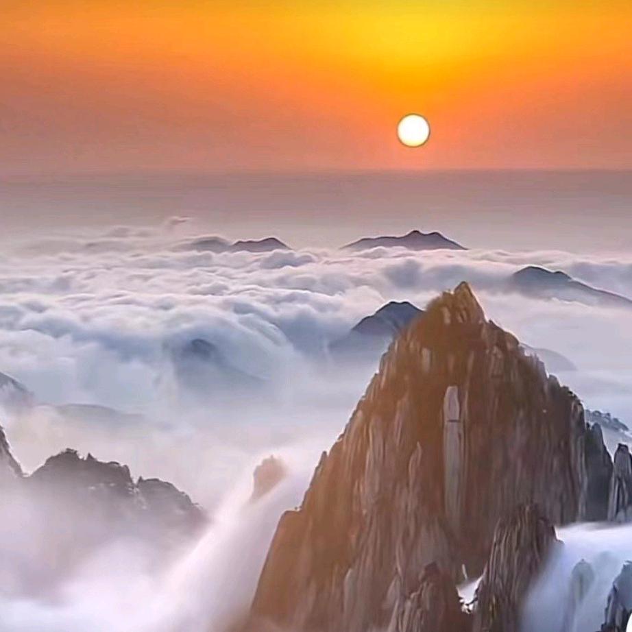 義洋