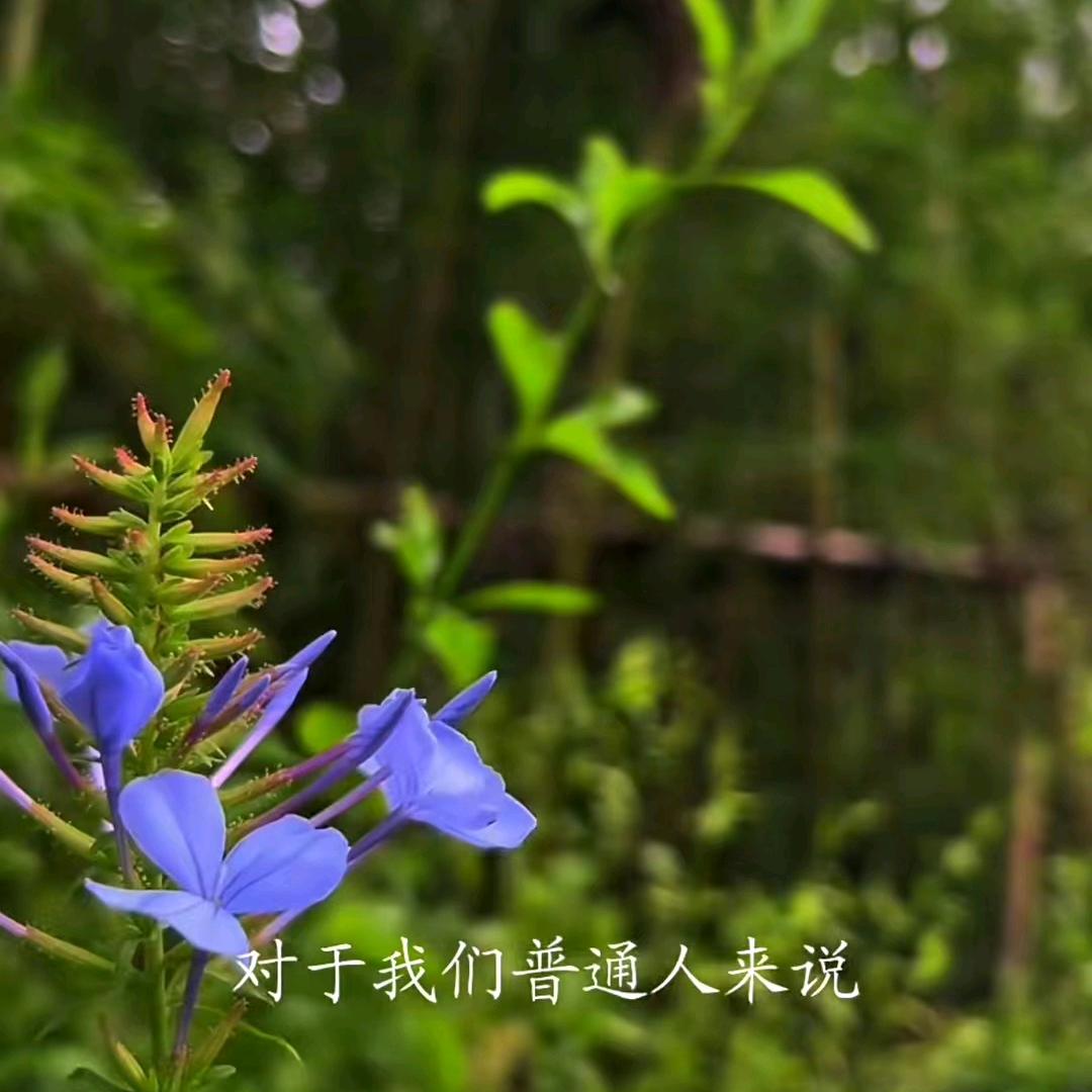 大汉