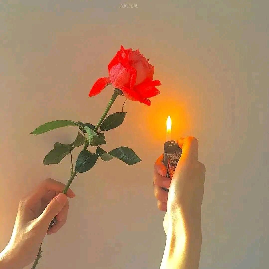 夜未央