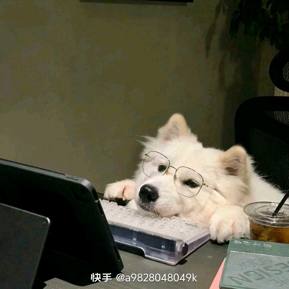 丁当啊