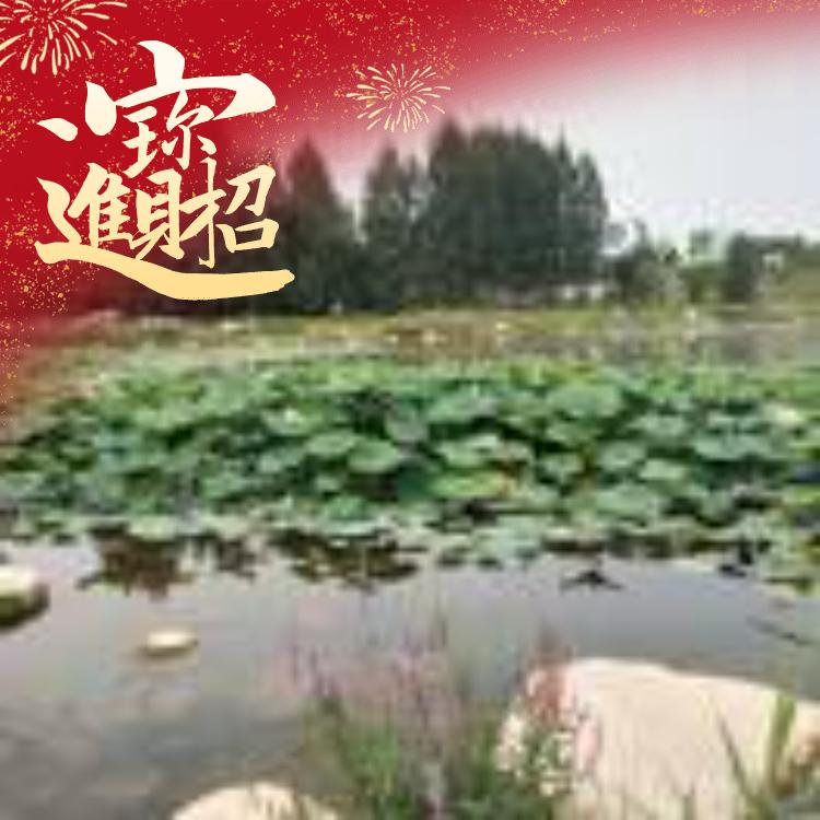 我心向上