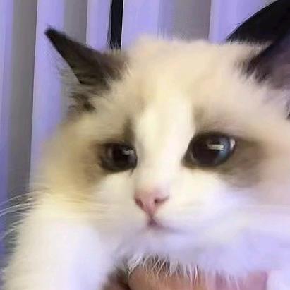 明天叫卡西法🦋