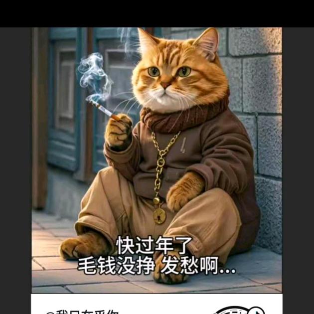 老猫哥
