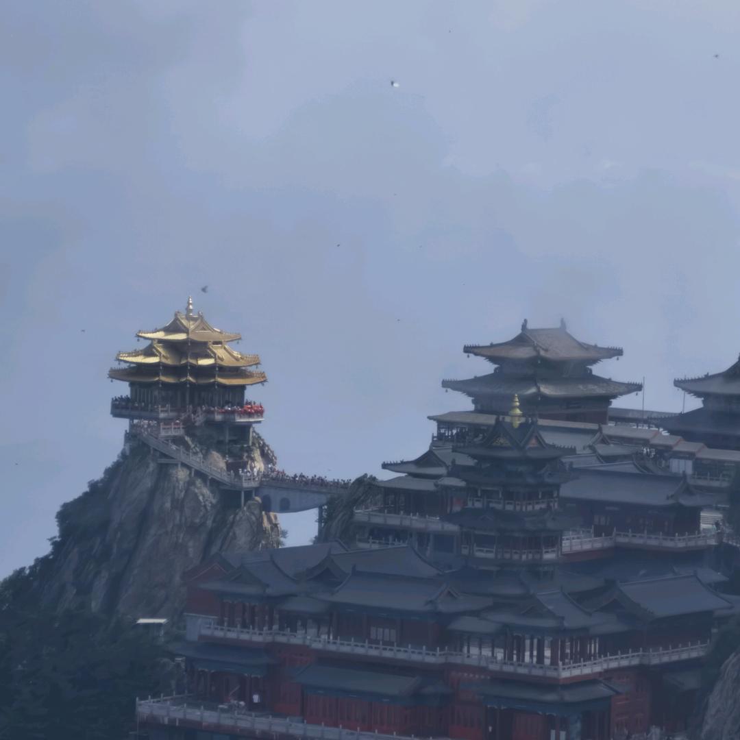 诚实守信