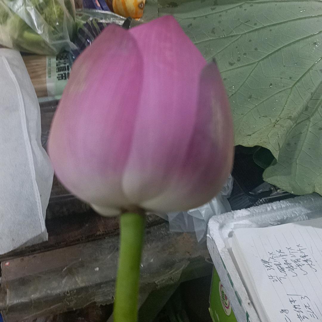 人生不顺，怎么办，答案在书里面，